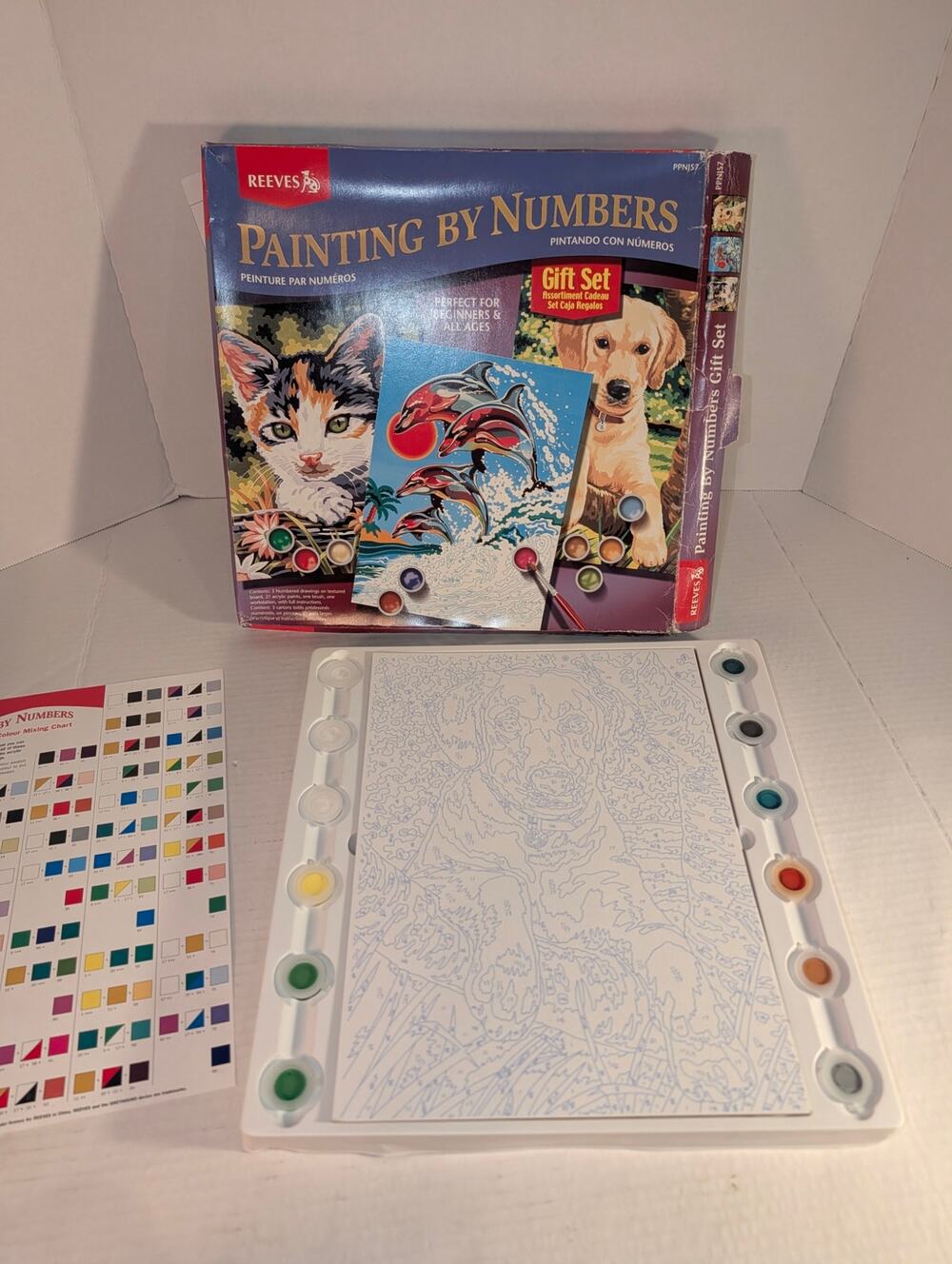 Reeves Junior Painting by Numbers Gift Set #PPNJS